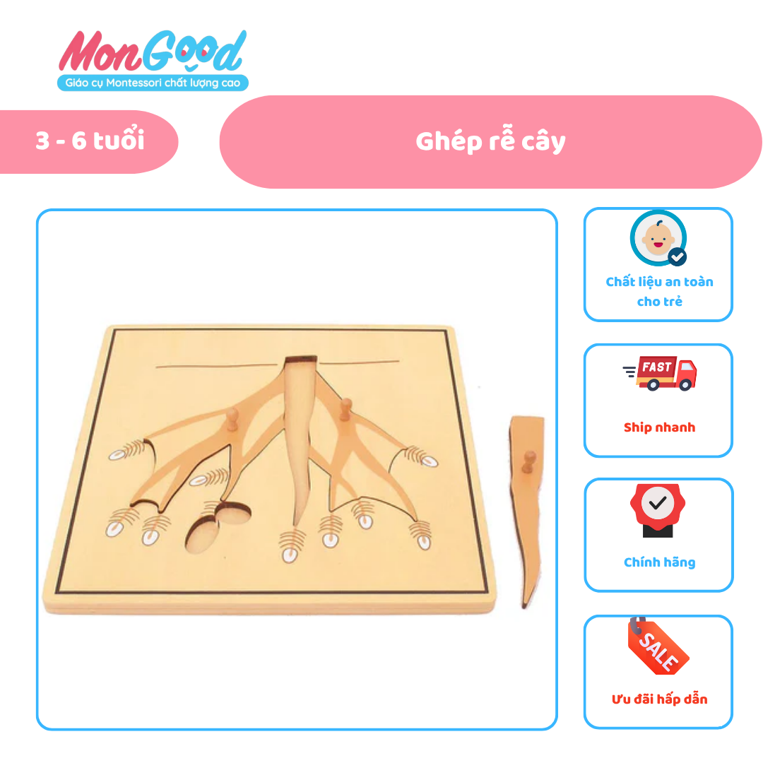 ẢNH WEB (2)
