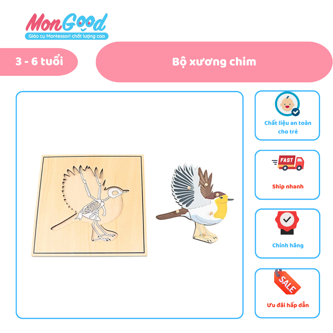 ẢNH WEB (29)