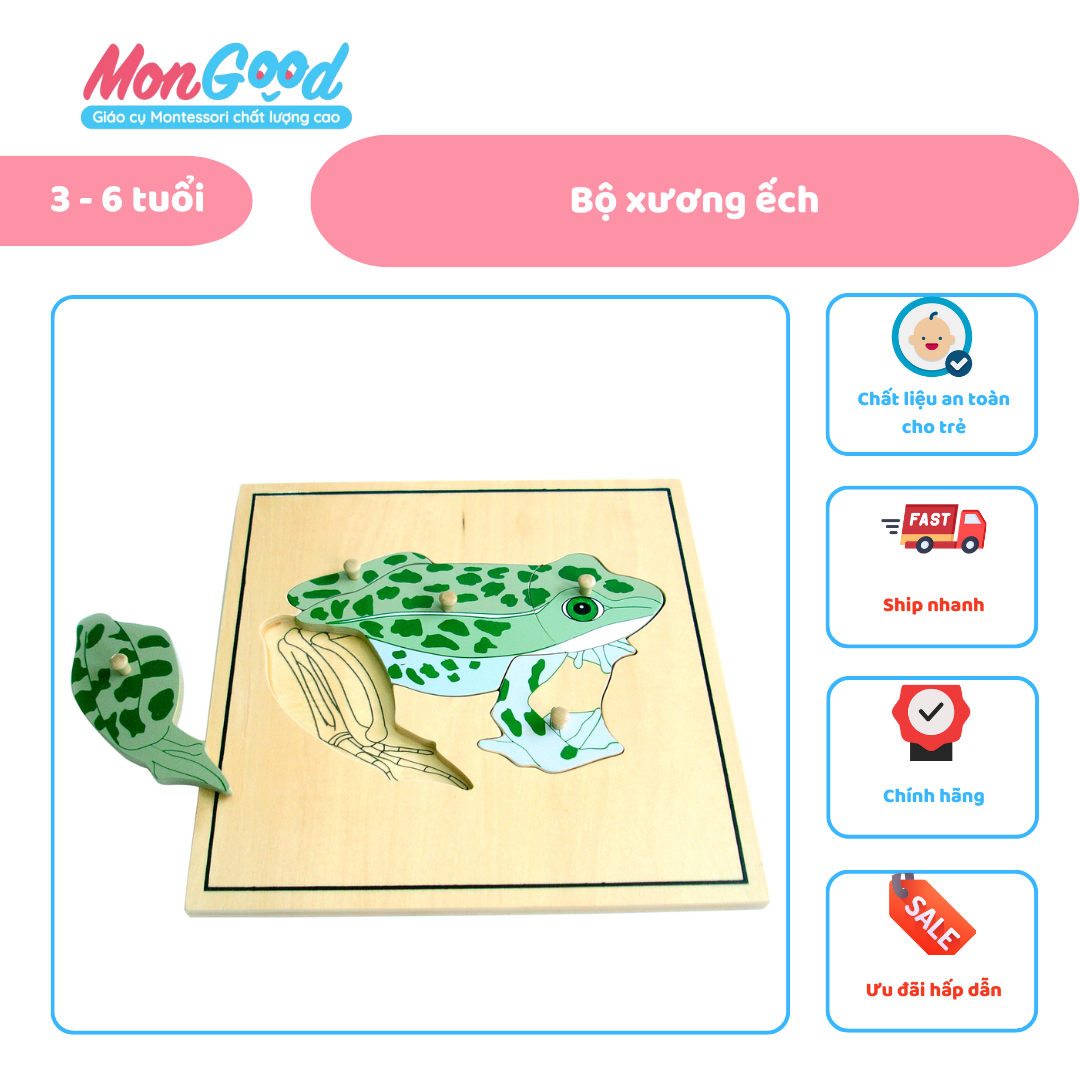 ẢNH WEB (31)