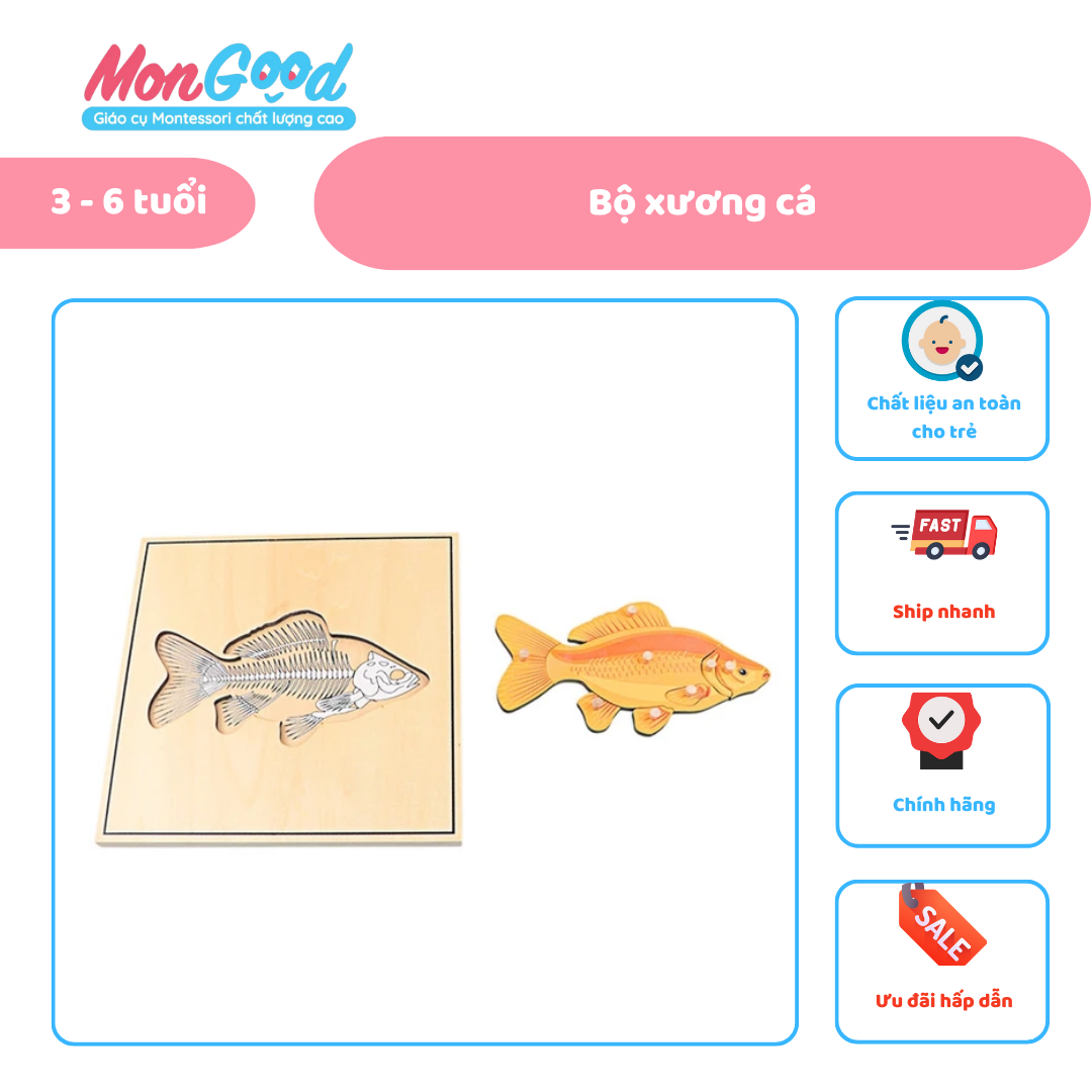 ẢNH WEB (32)