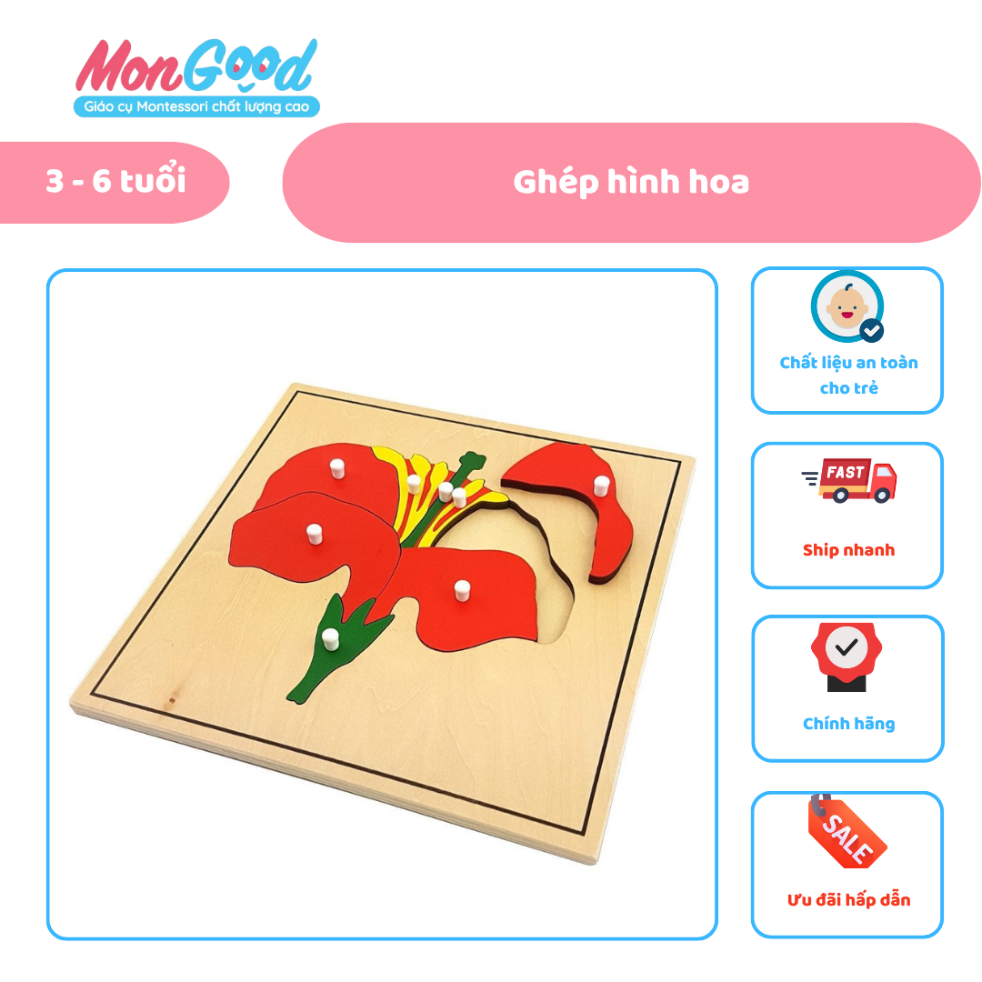 ẢNH WEB (6)