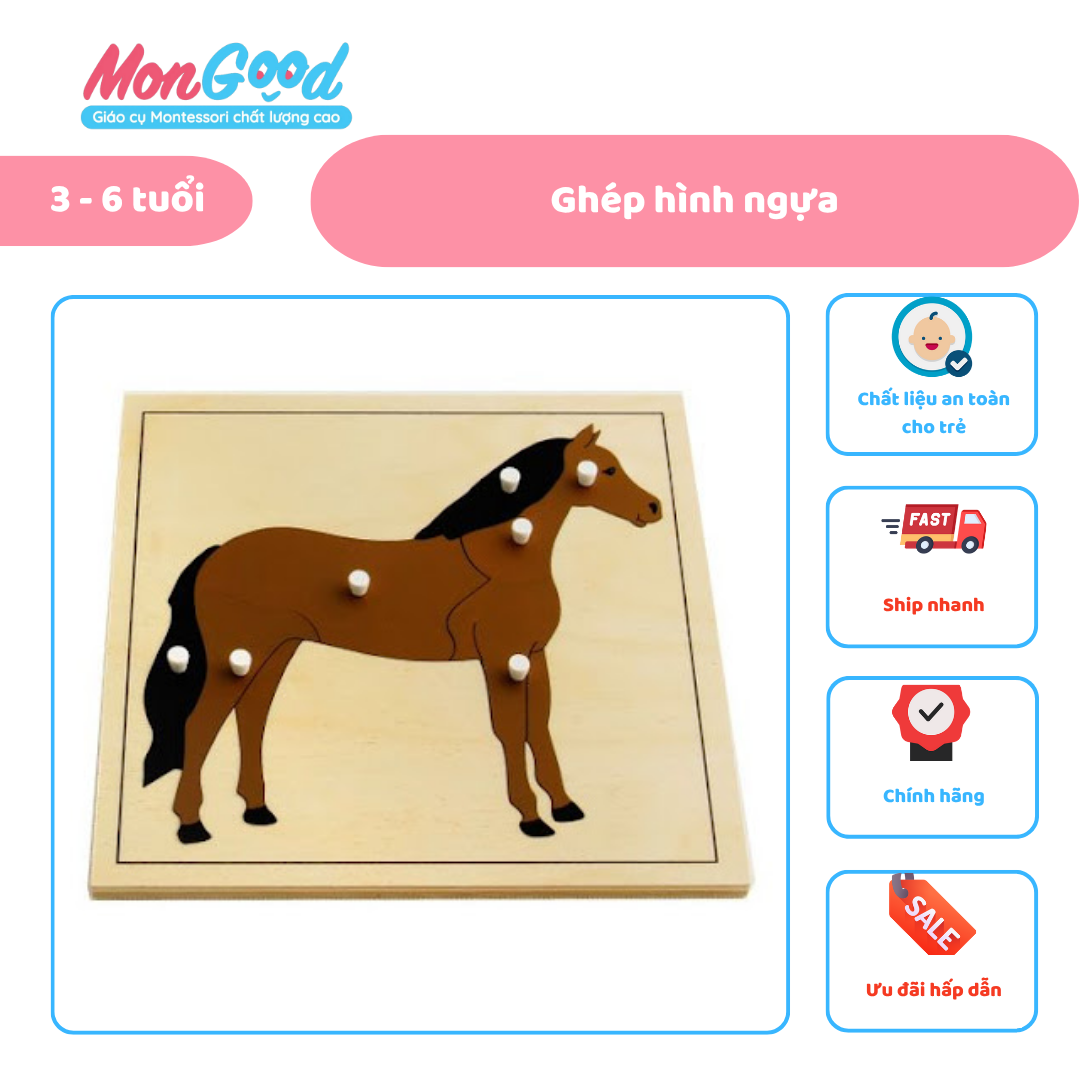ẢNH WEB (8)